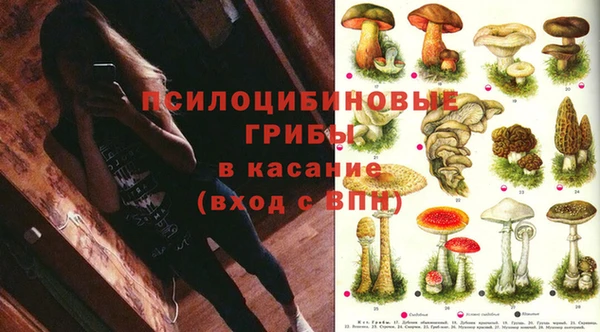 apvp Киренск
